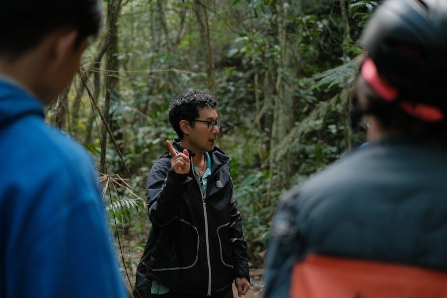 Guía turístico liderando grupo en la selva